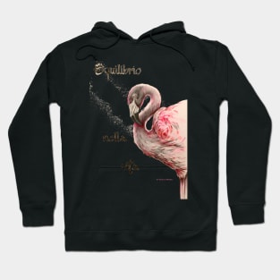 Balance in life - Flamingo Hoodie